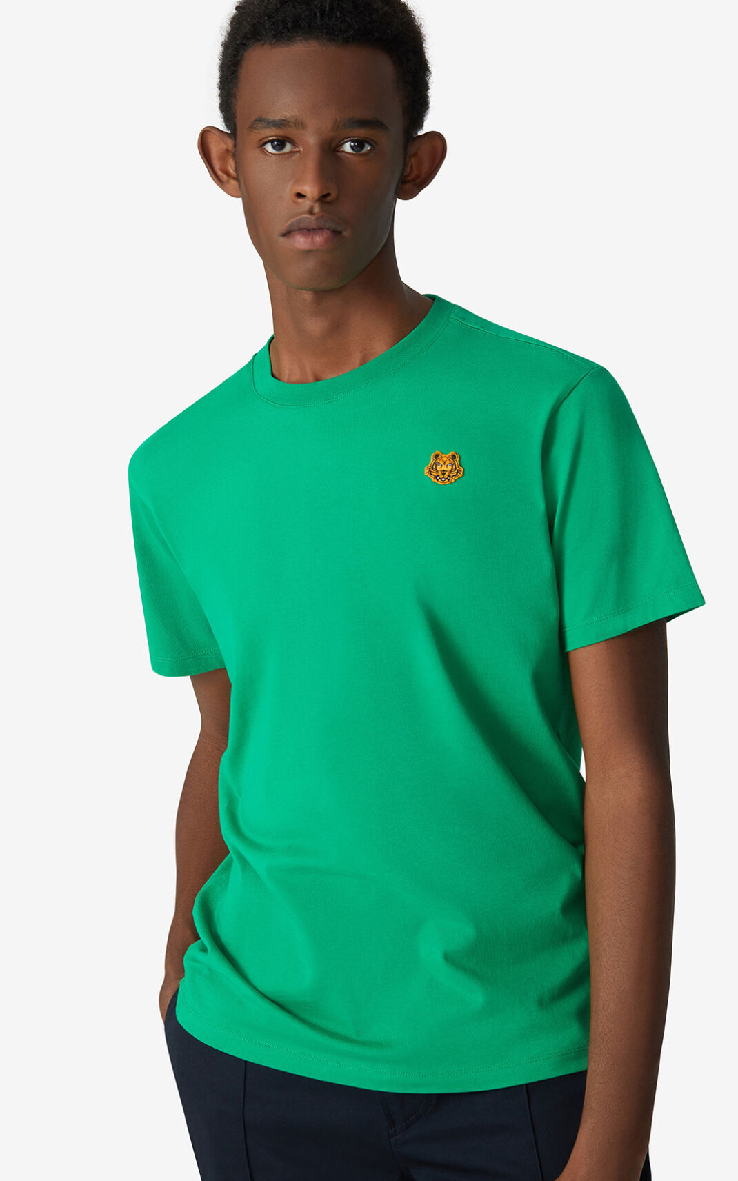 T Shirt Kenzo Tiger Crest Homme Vert | VBQW-26359